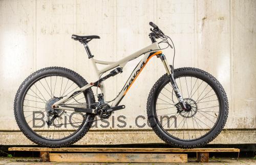 Salsa Pony Rustler ficha técnica y opiniones